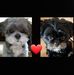 Sandra Noll - Facebook