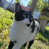 sandra - @sandranolte_ - TikTok