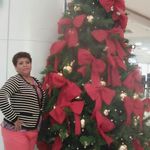 Sandra Dominguez Noyola, - @domingueznoyola - Instagram