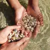 sandranullacootte - @sandranullacootte - TikTok