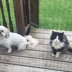 Sandra Nutt - @sandy.nutt - Instagram