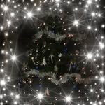 Sandra Nuttall - @sandra.nuttall - Instagram