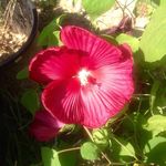 Sandra Oakman - @sandraoakman42 - Instagram