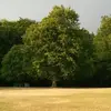 sandraoberle345 - @sandraoberle345 - TikTok