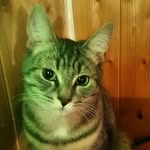 Sandra Obrecht - @obrechts - Instagram