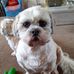 Sandra Oleary - Facebook