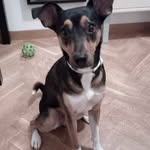 Sandra Garcia Oller - @sandretago - Instagram