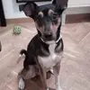 sandragarciaoller - @sandragarciaoller - TikTok