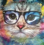 Sandra Orndorff - Facebook