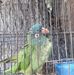 Sandra Orona - Facebook