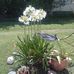 Sandra Orona - Facebook