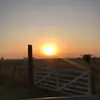 Sandra - @sandraorsi5 - TikTok