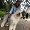 Sandra Ortegon - @sandraortegon55 - TikTok