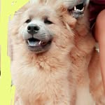 Sandra Ortegon - @sandra.ortegon.3762 - Instagram