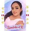 ✨🍀💜Sandrita d'R🇺🇸❤️🇵🇪⚽🔥 - @sandraoviedo600 - TikTok