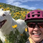 Sandra Packard - Facebook