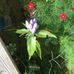 Sandra Padgett - Facebook