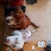 Sandra Padgett - Facebook
