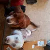 sandrapadgett31 - @sandrapadgett31 - TikTok