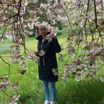 Sandra Pahl - @phlsandra - Instagram