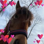 Sandra Påhlsson - @pahlssonsandra - Instagram