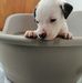 Sandra Palermo - Facebook