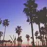 Sandra Palmieri - @sandrapalmieri1 - TikTok