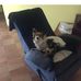 Sandra Pannone - Facebook