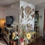 Sandra Parfitt - @sandra736647 - Instagram