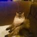 Sandra Parris - Facebook