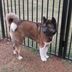 Sandra Patmore - Facebook