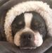 Sandra Pavao - Facebook