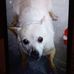 Sandra Pavao - Facebook
