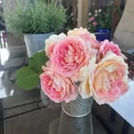 Sandra Kothman Pedley - @sandra.k.pedley - Instagram