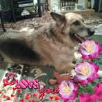 Sandra Pedley - Facebook