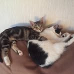 Sandra Pedley - Facebook