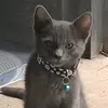 Turín - @sandrapedraza0517 - TikTok