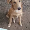 Sandra Pedroso - @sandrapedroso39 - TikTok