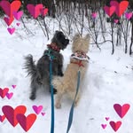 Sandra Peloquin Rasmussen - @love_to_stamp - Instagram