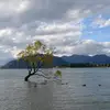 Sandra - @sandrapeltier7 - TikTok
