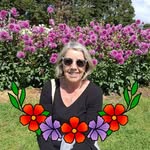 Sandra Pennell - @chitty60 - Instagram