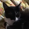 Sandra Penner - @trufflepooh - TikTok