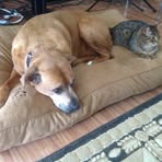Sandra Pepin - Facebook