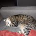Sandra Perrier - Facebook