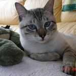 Sandra Irene Perrin - @sandraperrin1129 - Instagram