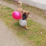 Sandra Perrin - @perrin.sandra - Instagram