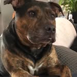 Sandra Perrin - @sperrin2009 - Instagram
