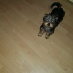Sandra - @sandra.petermann.94 - Instagram