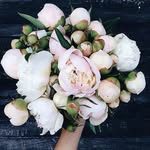P E T R A S H - @sandra_petrash - Instagram