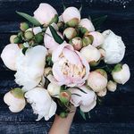 P E T R A S H - @sandra_petrash - Instagram